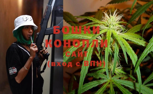 ГАЛЛЮЦИНОГЕННЫЕ ГРИБЫ Алзамай