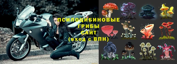 соль ск Аркадак