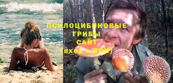 ГАЛЛЮЦИНОГЕННЫЕ ГРИБЫ Алзамай