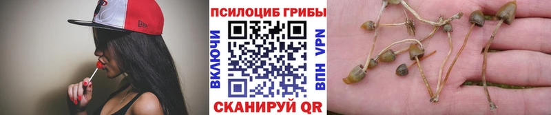 Галлюциногенные грибы MAGIC MUSHROOMS  Аркадак 